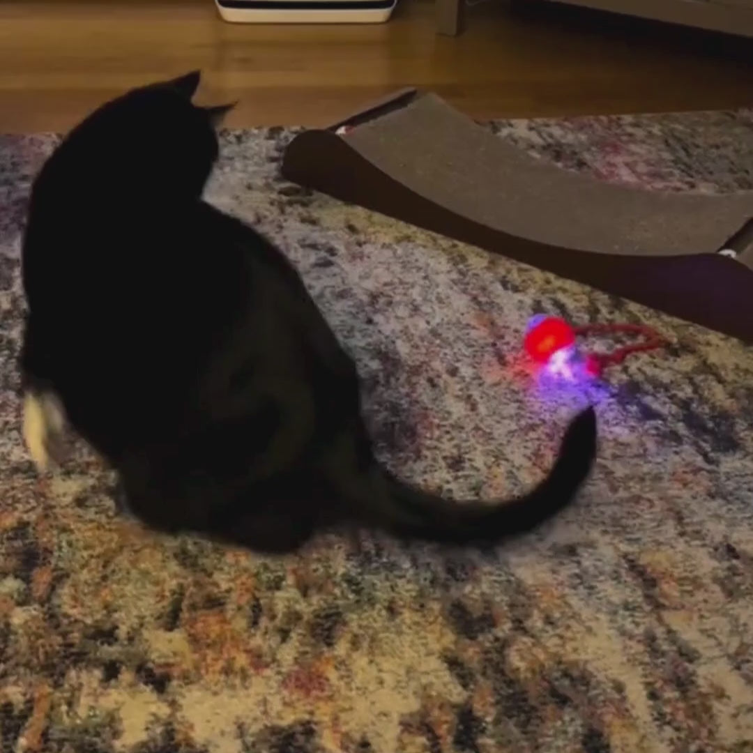Interaktiv självrullande katt & hundleksaksboll